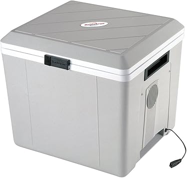 igloo dual compartment cooler tote
