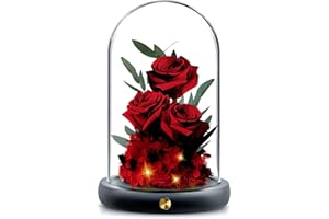 HZQVA Valentines Day Flowers Roses Gifts, Preserved Rose in Glass Dome, Real Rose That Last 2 to 3 Years, Gifts for Her, Valentine's Day, Mother's Day, Birthdays, Christmas, Anniversaries (Red)