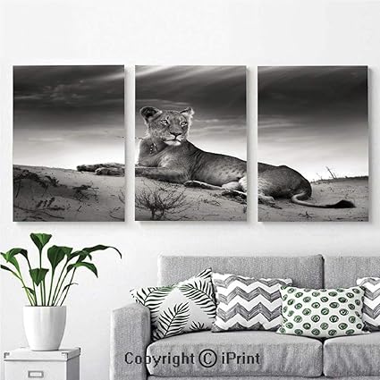 Amazon Com Canvas Prints Modern Art Framed Wall Mural Wild