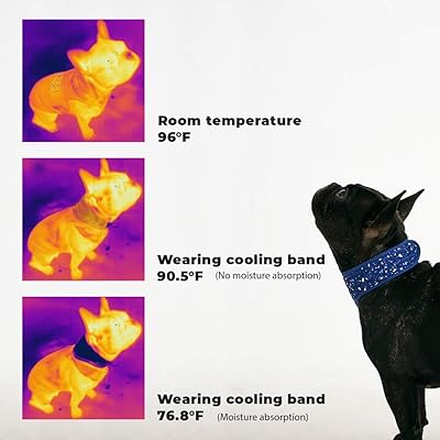 dog cooling neck wrap