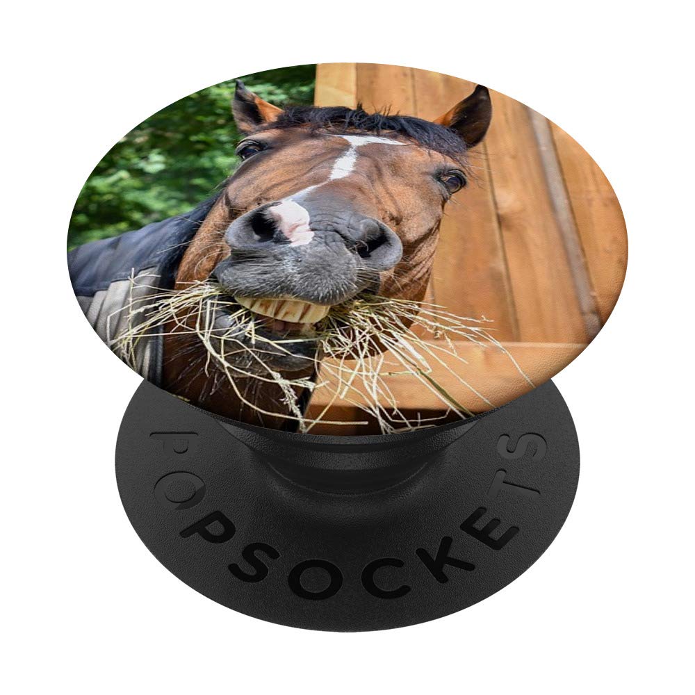Horse Eat Funny Head Hay Fun Equine Animal PopSockets Swappable PopGrip