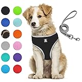 Puppy Harness and Leash Set - Dog Vest Harness for