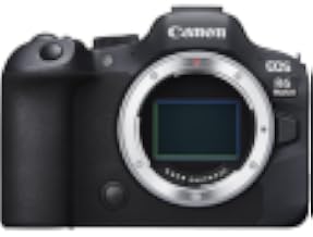 Canon EOS R6 Mark II Mirrorless Camera 1