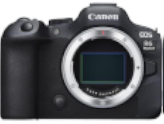 Canon EOS R6 Mark II Mirrorless Camera 3