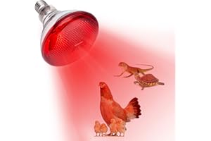 YEAOI Heat Lamp for Chickens Coop Brooder and Reptile Heat Bulb 150 Watt Infrared Red Light