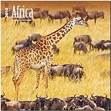 Africa 18-Month 2014 Calendar (Multilingual Edition) by 