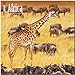 Africa 18-Month 2014 Calendar (Multilingual Edition) by 