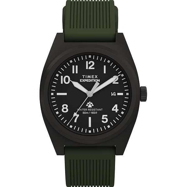 Amazon.com: Timex Men's Expedition Capstone Chronograph 41mm Watch