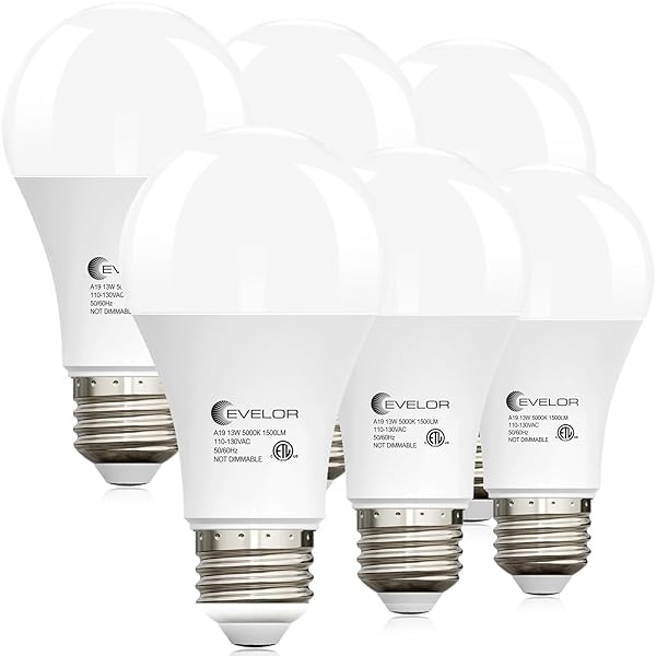 EVELOR A19 LED LIGHT BULBS,100 WATT EQUIVALENT DAYLIGHT...