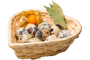 UNDIQUE Fresh Quail Eggs laid in the US (medium, 32, Count)