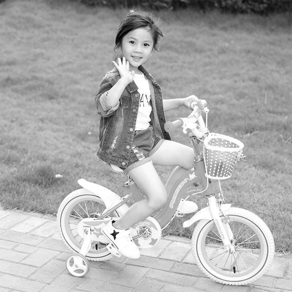 子供用自転車14 16インチ自転車女の子用自転車3 8歳の子供用 女の子の誕生日プレゼントベクターイラストスタイリッシュな自転車 B07nsttn9s 白 14inches 14inches Size 白 Color 子ども用自転車 着後レビューで 送料無料
