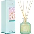 Cocorrína Reed Diffuser - Bluebell Rain 6.76oz Diffuser with 8 Sticks Home Fragrance Essential Oil Reed Diffuser for Bedroom Bathroom Shelf Decor Office Decor (Summer Collection)