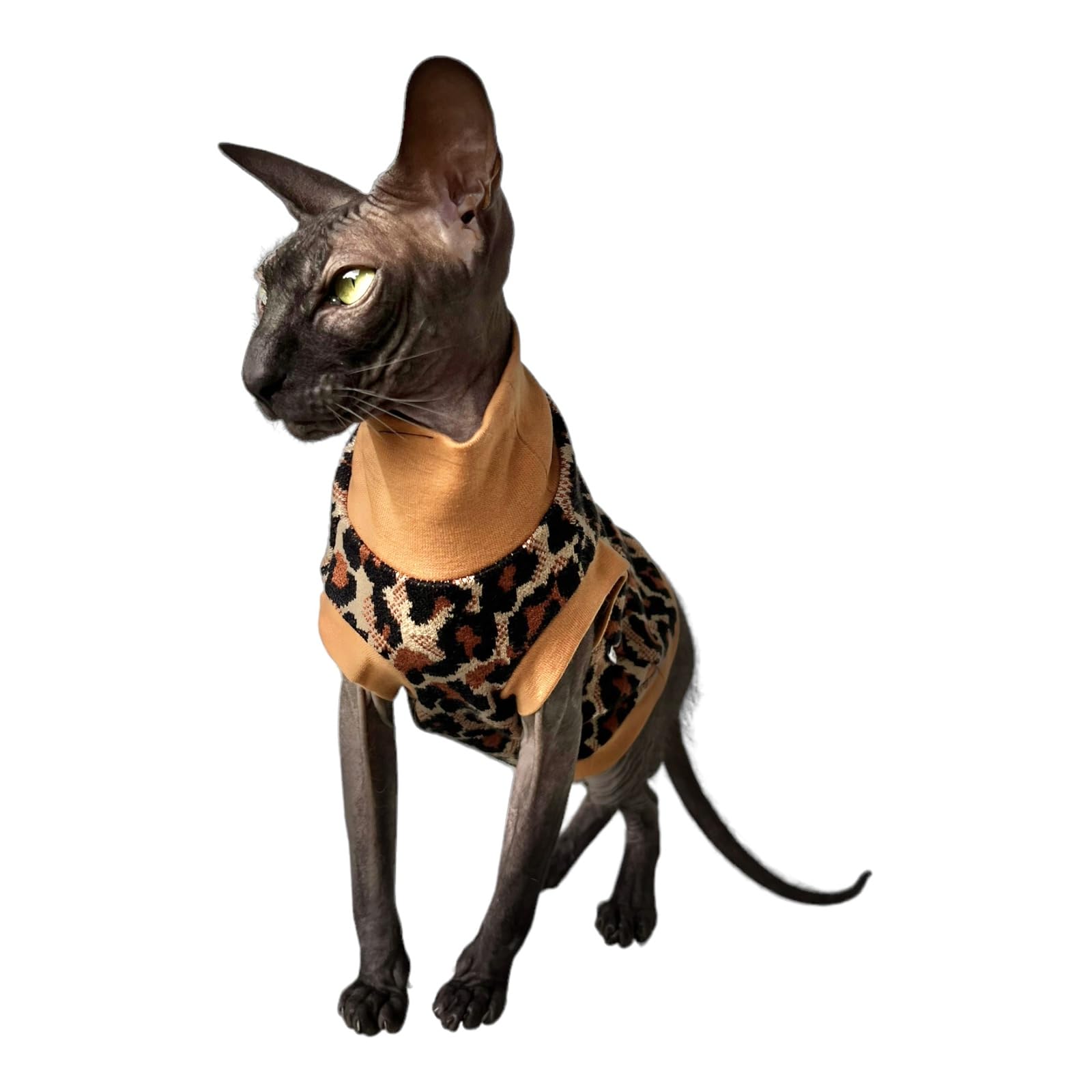 Kotomoda Cat's Cozy Comfort for Hairless Beauties: Winter Turtleneck Panther tobacco for Sphynx and Naked Cats (Small)
