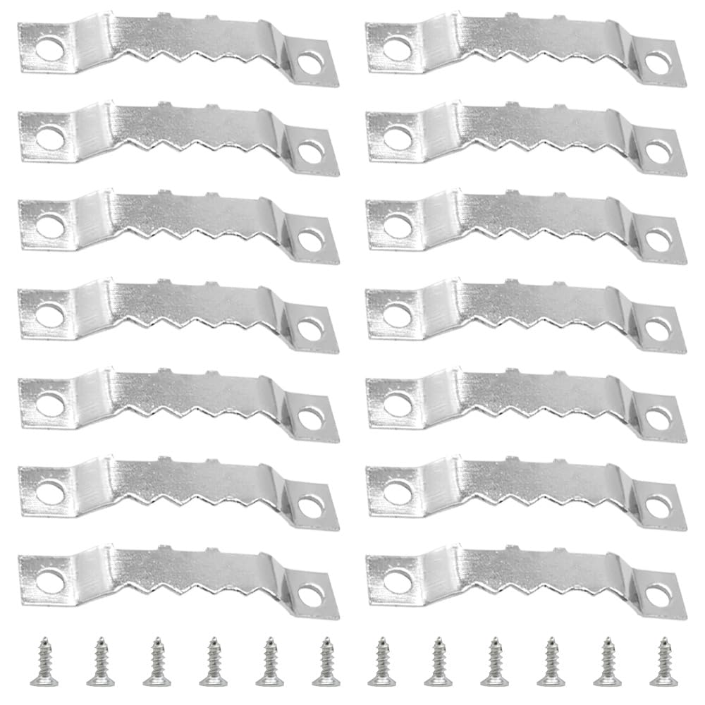 Ruidee 100 PCS Sawtooth Picture Frame Hangers Picture Frames Holder Hooks Double Hole with Screws Wall Hooks for Hanging Art Photo ,Painting ,Home Decoration(Silver/JC)