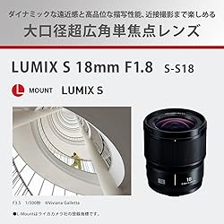 Panasonic LUMIX S-S18 Full Size Mirrorless Single