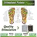 All-Natural Aromatic Cleansing Foot Pad: Bamboo Vinegar, Vitamin C & Essential Oil Patch for Pain Relief & Sleep Aid - Removes Impurities, Improves Energy & Boosts Immunity - FDA Registered - 10 Pads