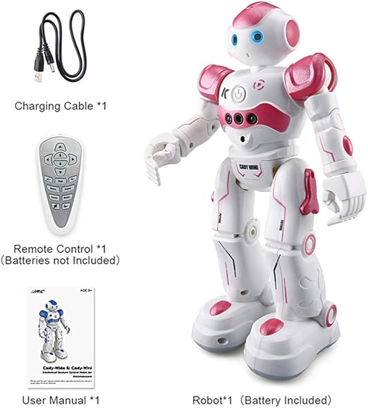 cody robot toy