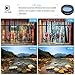 Phone Camera Lens Kit, iPhone Camera Lens - 7 in 1 Clip on Lens, Zoom Telephoto Lens, Fisheye, Wide Angle Lens, Macro Lens, CPL, Kaleidoscope for Most Smartphones