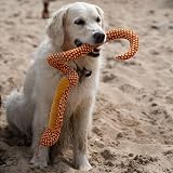 Petface Planet Coby The Cobra Plush Dog Toy view 5
