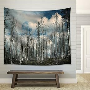 Landscape with Aspen Trees in Fair Weather - Fabric Wall Tapestry Home Decor - 51x60 inches