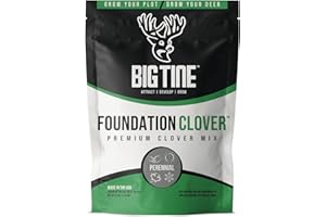 Big Tine Food Plot Mix, Deer Attractant, Foundation Clover, Premium Clover Mix, 4 lbs Bag, Perennial, Great for Food Plots, High Drought Tolerance