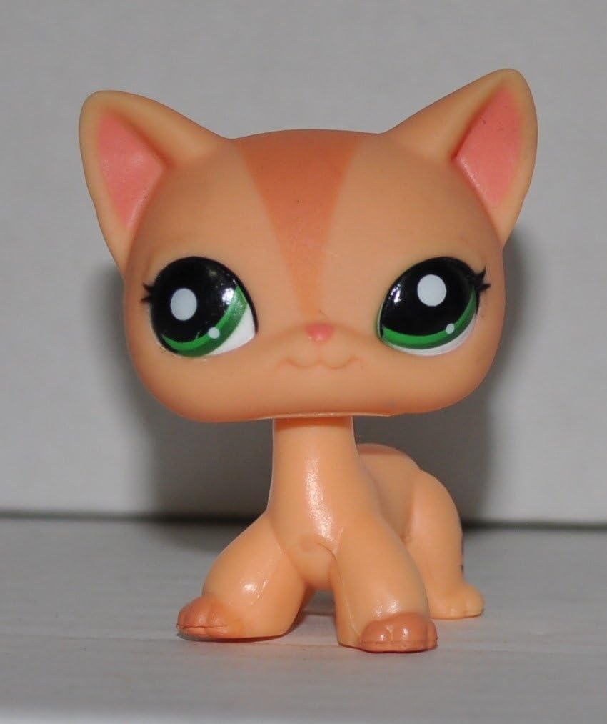 rabies shots for cats cost