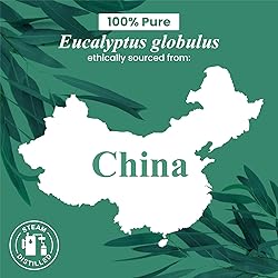 Handcraft Blends Eucalyptus Essential Oil – Huge