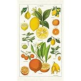 Cavallini - Cotton - Citrus Tea Towel
