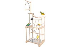 Chuiendi Bird Playground, Bird Play Stand Parrot Perch Stand, Natural Wood Play Gym for Parakeet Conure Cockatiel Lovebird Budgie with Feeder Cups, Swings, Ladder and Tray