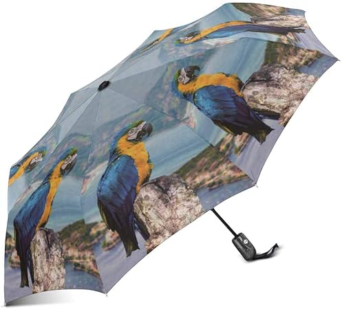 Amazon Com Interestprint Blue And Yellow Macaw In Rio De Janeiro Brazil Windproof Compact One Hand Auto Open And Close Folding Umbrella Rain Outdoor Unbreakable Travel Umbrella Garden Outdoor