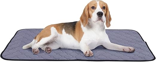 amazon empapadores perro