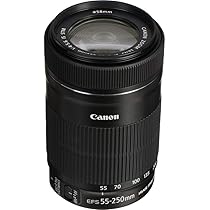 Amazon.com : Canon EF-S 55-250mm F4-5.6 is STM : Digital Slr 