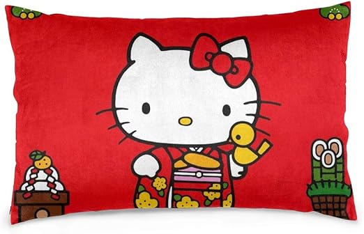 Amazon Com Pillow Cases Hello Kitty With Hamburg Throw Cushion
