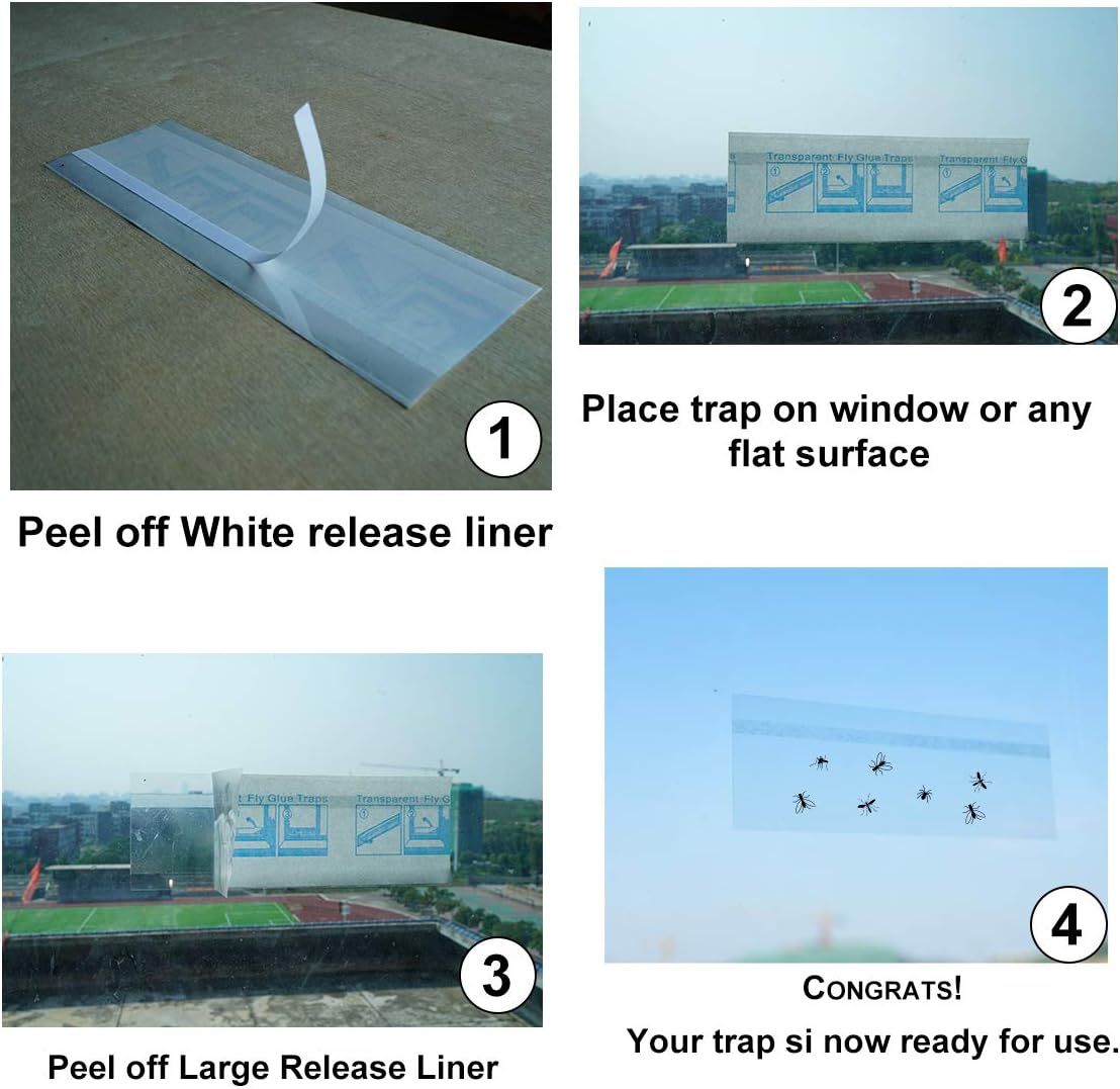 Garsum Fly Clear Window Fly Traps Bug Fly Killer Window Decal Non-Toxic, 4 Piece per Pack Total 12 Pices : Garden & Outdoor