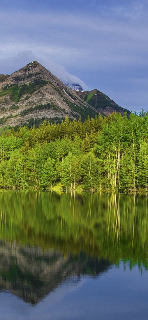 PeelitStickit, Beautiful Nature Wall Murals, ID-2853, vinyl