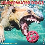 Underwater Dogs 2017 Small Wall Calendar