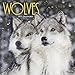 2017 Wolves Wall Calendar by