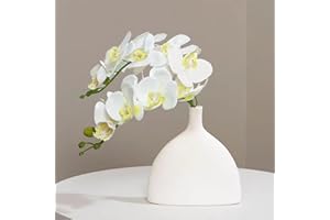 JEVA 2 Pack Artificial White Phalaenopsis Orchid Flower ONE stem containing 9 Flowers