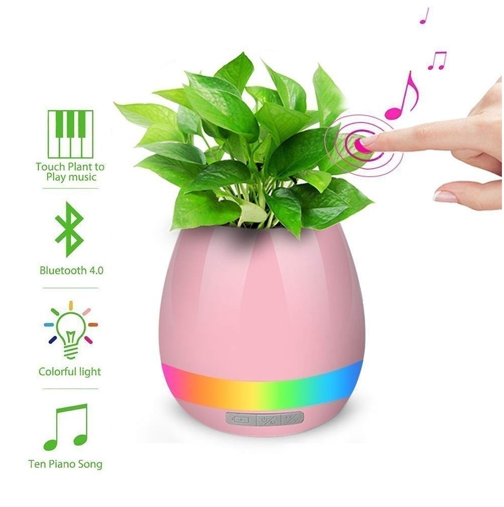 musical flower pot