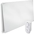 EconoHome Wall Mount Space Heater Panel - with Thermostat - 600 Watt Convection Heater - Ideal for 200 Sq Ft Room - 120V Electric Heater