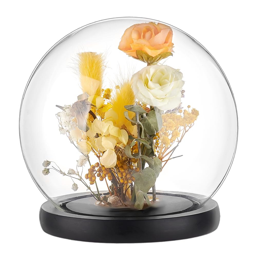 PandaHall 15cm Glass Display Dome Cloche with Black Wood Base - Decorative Jars, Cloche Display Case, Dome for Flower Storage, Home, Christmas Party Favor Decoration