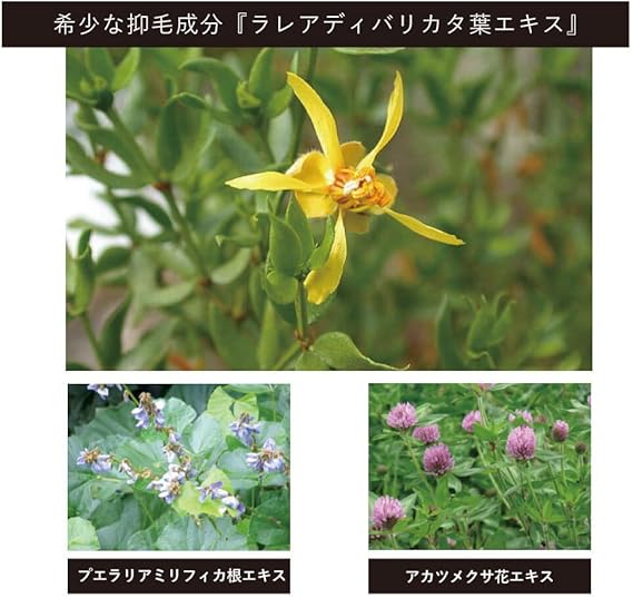Amazon アンサーコスメ スキンコントローラージェル ムダ毛対策 ひげ剃り 脱毛後の肌ケア 青ヒゲ対策 全身に使える 年齢肌ケアにも 70g 石鹸工房コクーン アフターシェービングケア