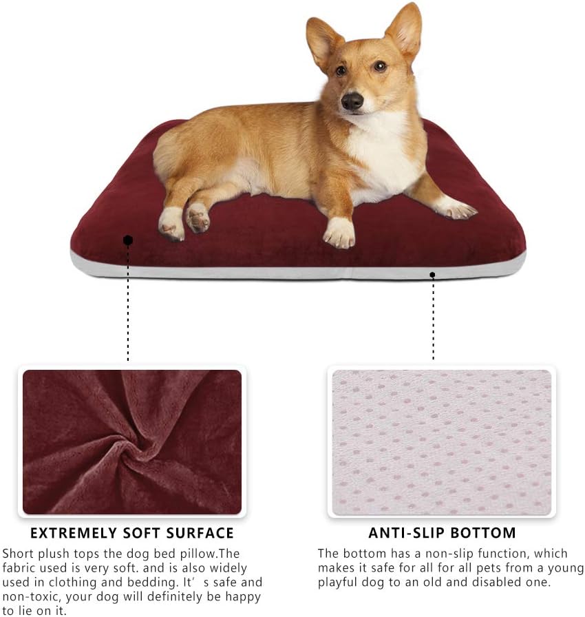 big barker clearance