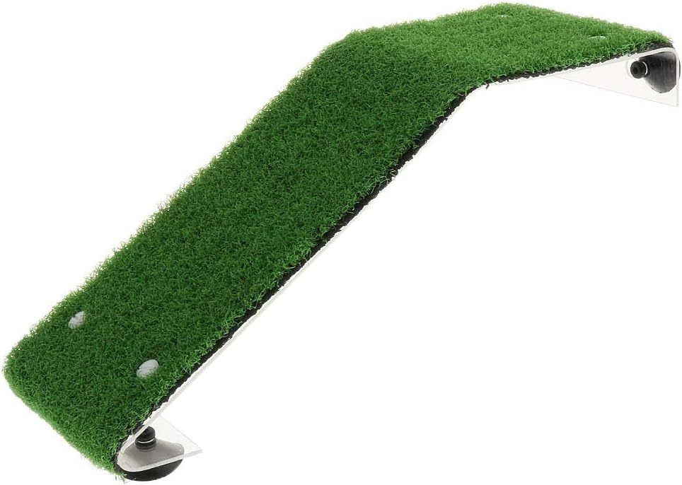 Which Is The Best Tank Ladder For Turtles