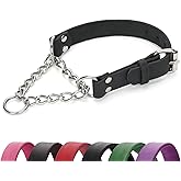 LOIIHEII Martingale Collar for Dogs No-Pull Adjustable Training Collar with Stainless Steel Chain - Genuine Leather Anti-Slip Design for Small,Medium,Large Breed Dogs - Black (M)