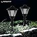 Solar Lights 2 Pack