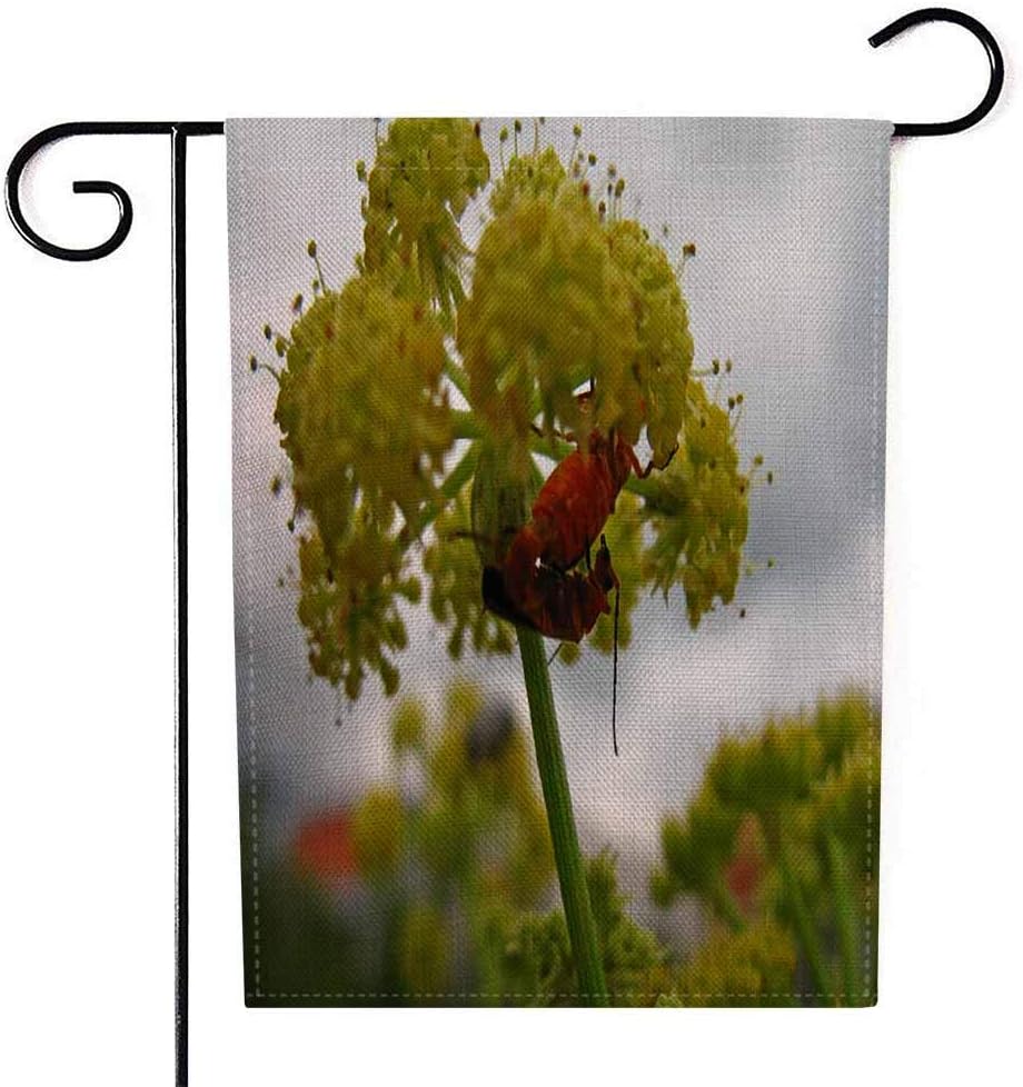 Shorping Large Garden Flag, Garden Flag 12.5X18Inch Small Flag Garden Two Bright