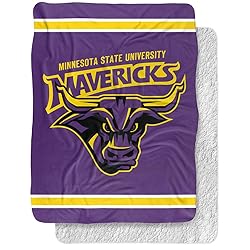 Minnesota State University Mankato