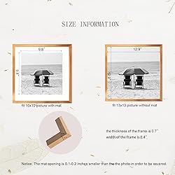 EVQUIT 13 x 13 Aluminum Picture Frame Metal Photo