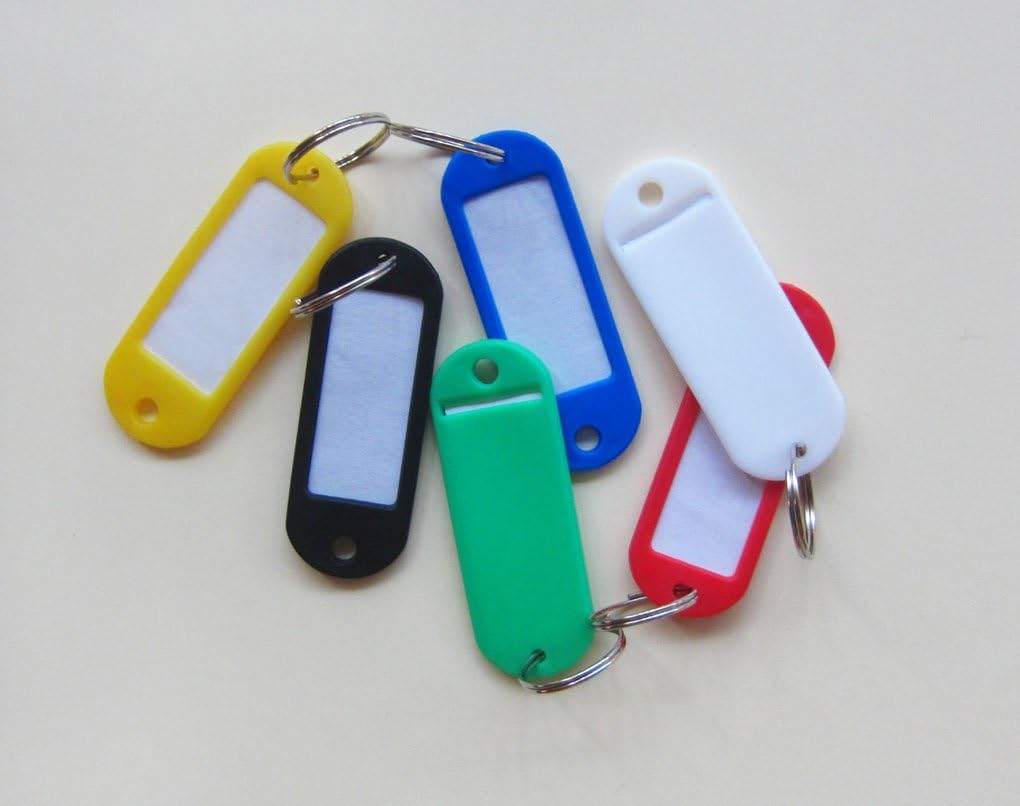 Vlonfine 60Pcs Plastic Blank Flexible Keychain ID Label Tags Split Ring Assorted Colors
